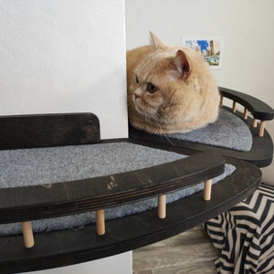 Cat shelves   Modern cat tree   Cat wall  Corner bed  Cat Furniture