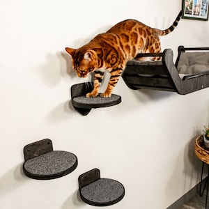 Wall-mounted wooden cat bed / 3 cat steps / Luxury Design by RshPets Team 2023