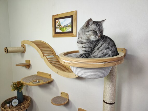 Cat hot sale tree shelves