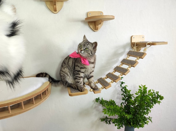 Cat hammock for large cats online