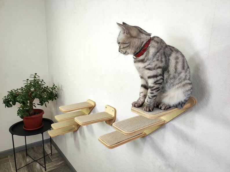 Cat Ladder Set / Cat Shelves Set / Cat Wall Steps / Cat Etsy