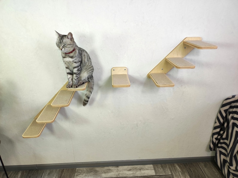 Cat Ladder Set / Cat Shelves Set / Cat Wall Steps / Cat Etsy
