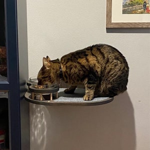 Mangeoire murale pour chat avec 2 bols, étagère pour chat, étagères pour chat, bol pour chat, meubles pour chat, cadeau pour amoureux des chats, gamelle pour chat, gamelle pour animal de compagnie, assiette chat image 7