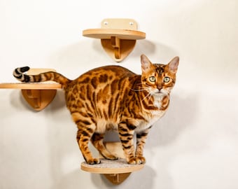 Cat wall furniture | Cat wall steps | Set of 3 round steps