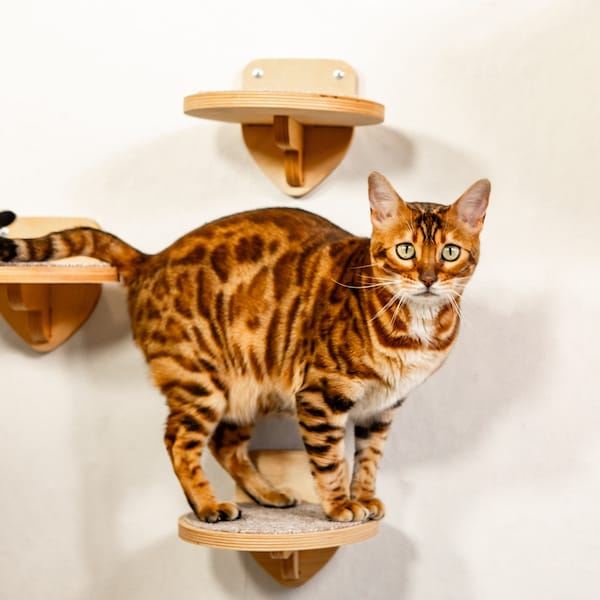 Cat wall furniture | Cat wall steps | Set of 3 round steps