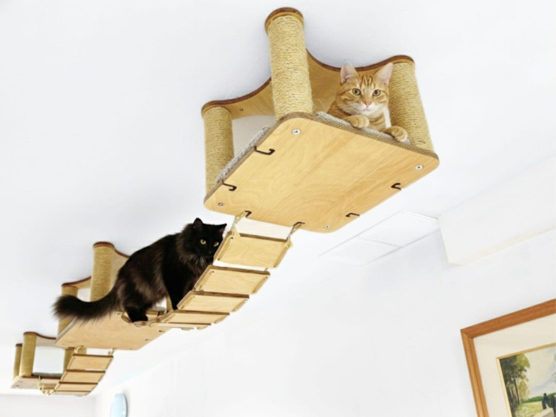 Modern Ceiling Cat Bridge & Perch Set: Birch Plywood, Grey Cushions - Etsy