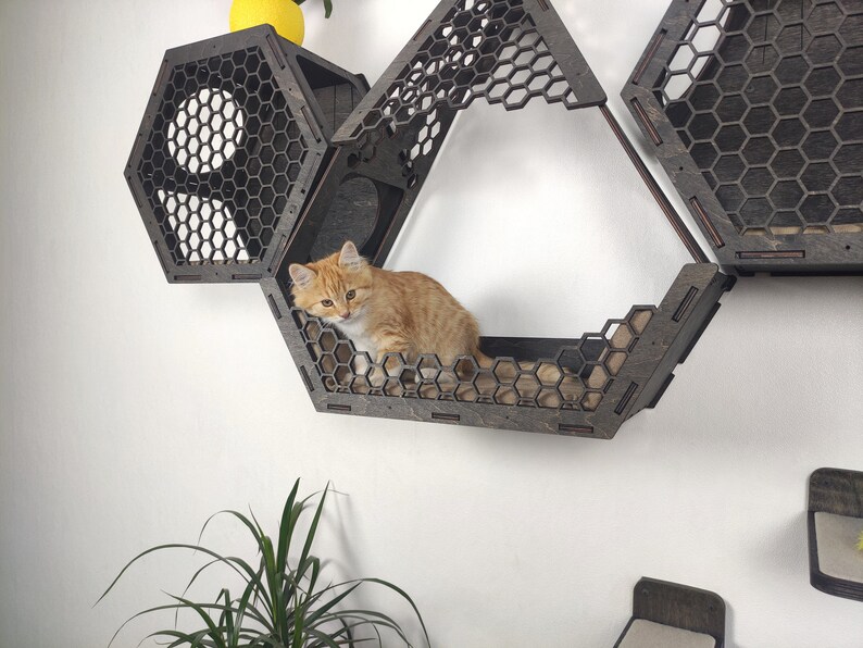 Cat Wall Furniture Shelves Cat Tree Condo Hexagon Cat Shelf Etsy