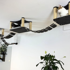 Ensemble de meubles pour chats montés au plafond - Lits carrés et rectangulaires avec ponts - Aire de jeu moderne suspendue pour chats en bois foncé ou naturel