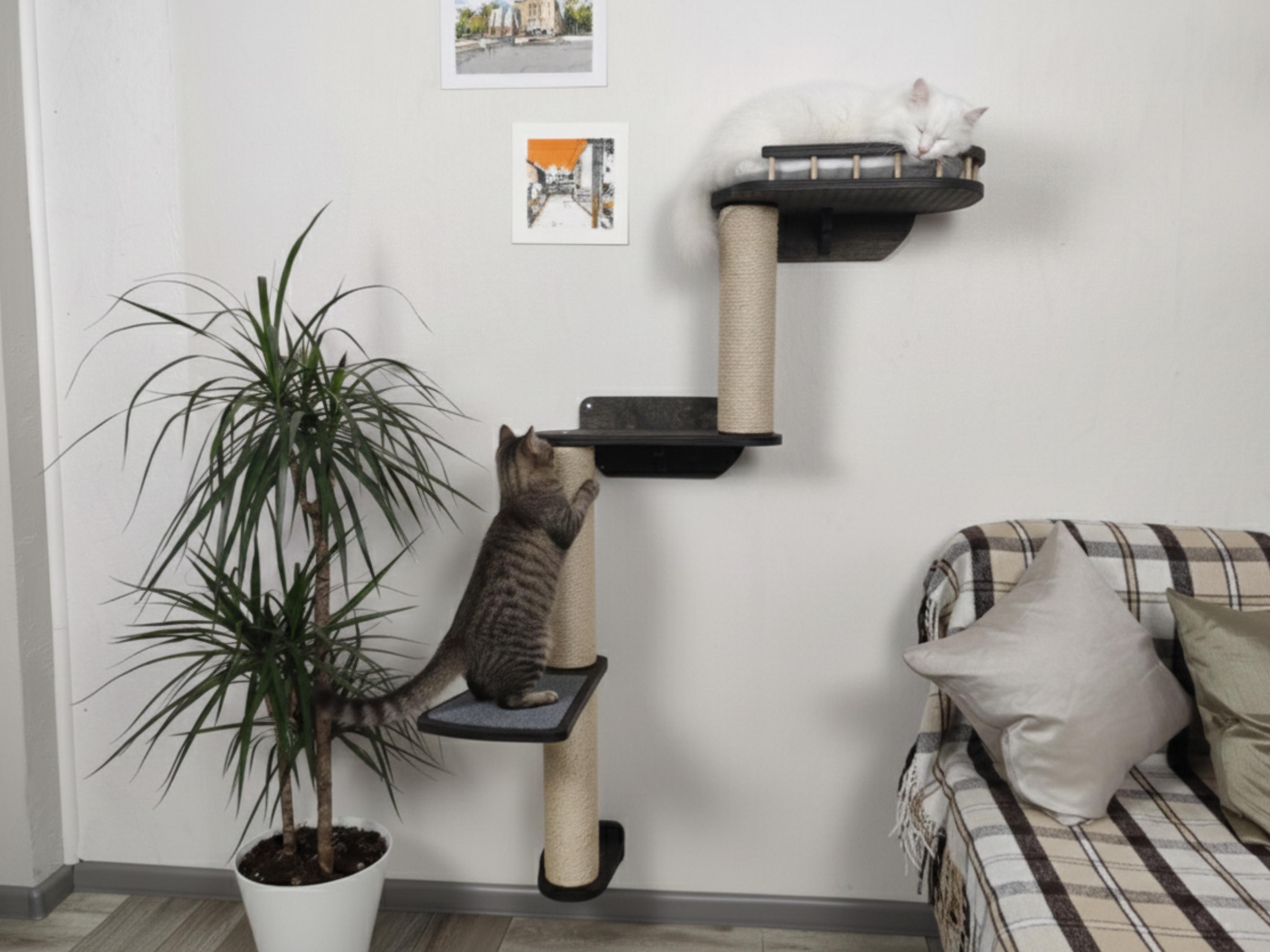 Meubles modernes pour chats, arbre à chat, tour à chat, meubles pour chats, mur d'arbre à chat, griffoir en sisal pour chat, lit mural pour chat, grif