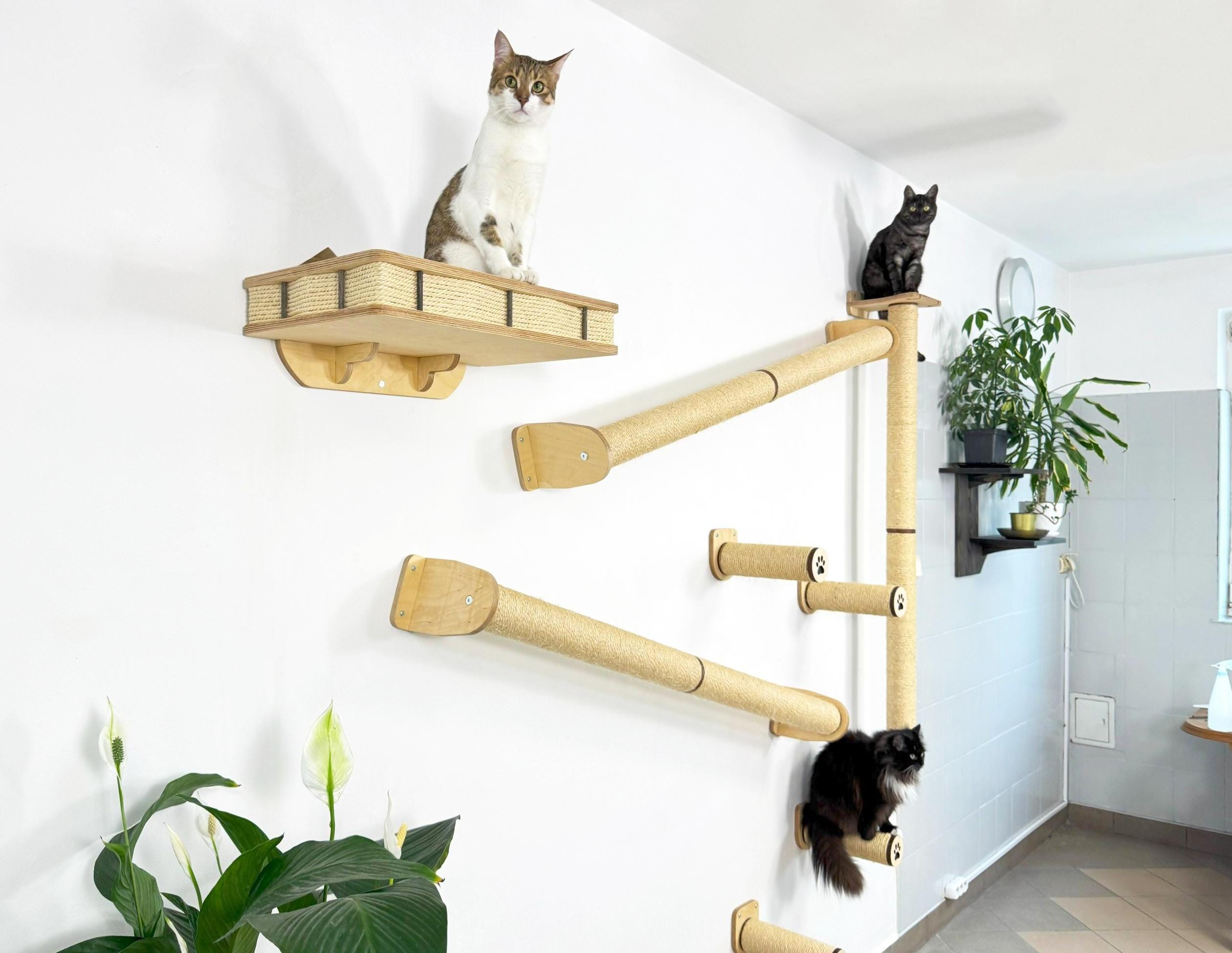 RshPets® Klimwand kattenset - 285 cm kattenbrug XXL - kattenbed - hangmat voor katten - katten wandelementen - kattentrap muur - kattenladder - wandgemonteerd kattenmeubel (lichtkleur