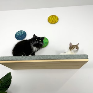 Floating Wall Shelves for BIG Cats with Soft Cushions Included // RshPets Cat Furniture: 2025 ELEGANT Shelf with Removable Pillow