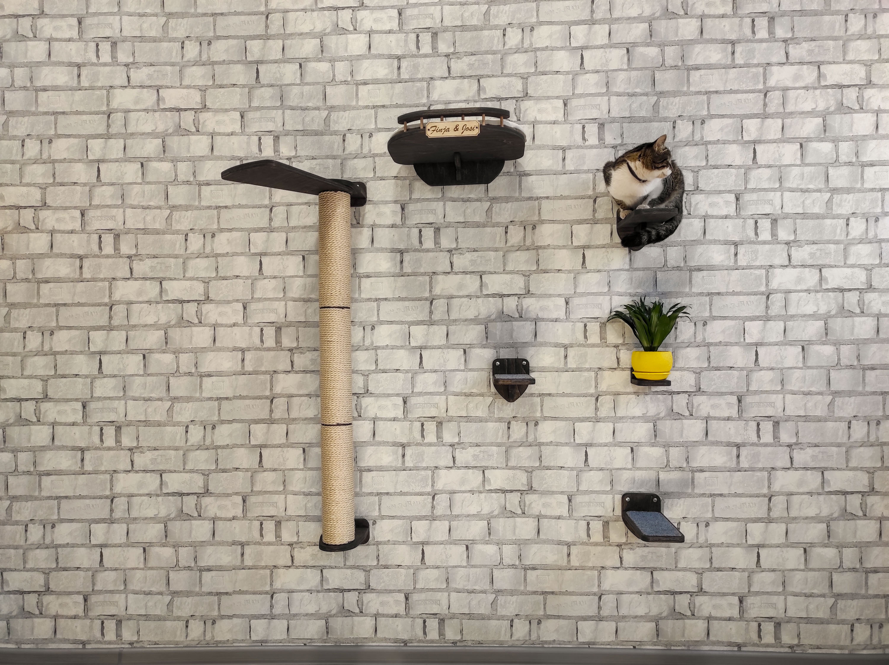 KatzeWandMöbel Haustier Möbel VINY dunkle Katze Möbel Set Etsy