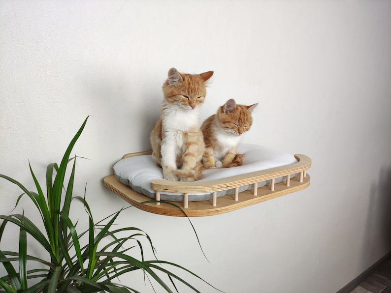 Cat shelf, Cat tower, Cat bed, Cat tree tower, Cat shelves for wall, Cat furniture, Cat tree, Modern cat furniture, Cat window perch image 3