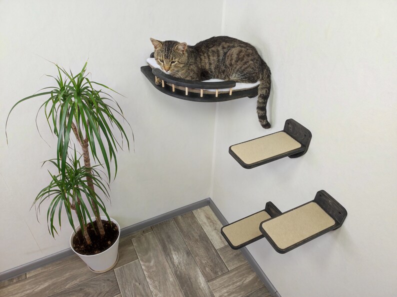 Cat Corner Shelf Cat Wall Furniture Shelves Bed Cat Tower Etsy