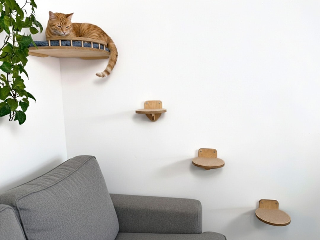 Corner Wall Cat Shelf With Cushion: Space-saving Cat Furniture, Natural ...