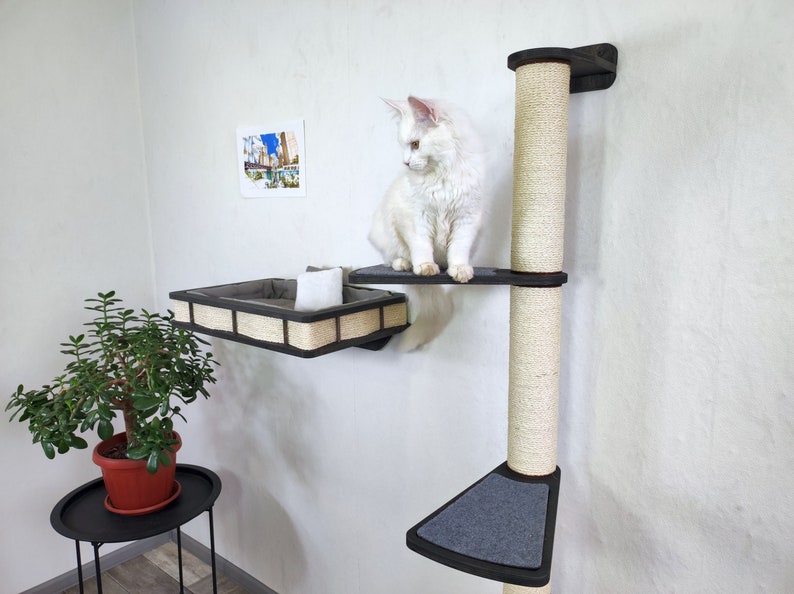 Arbre à chat et lit pour chat Ensemble de meubles pour un chat design 2022 de RshPets Dark color