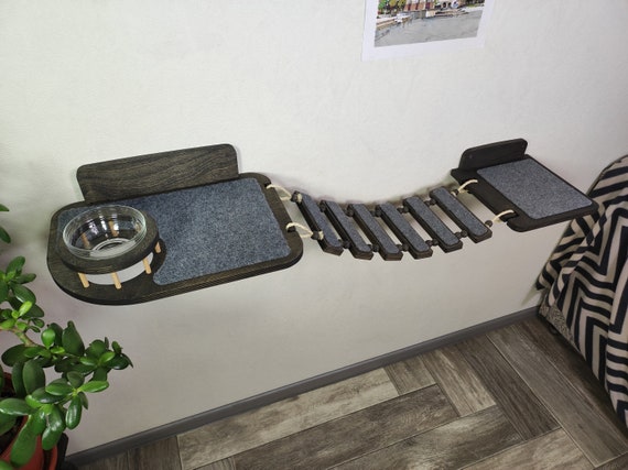 Top Cat Feeder Shelves for Happy Cats Our Handpicked Favorites