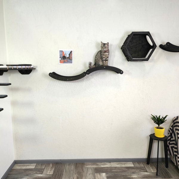 Cat wall furniture Cat bed and shelf--Play wall zone for active cats New 2022 from RshPets