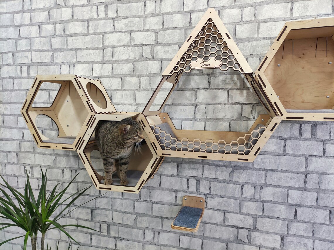 Cat shelves Hexagon cat shelf Cat wall furniture Cat tree Etsy