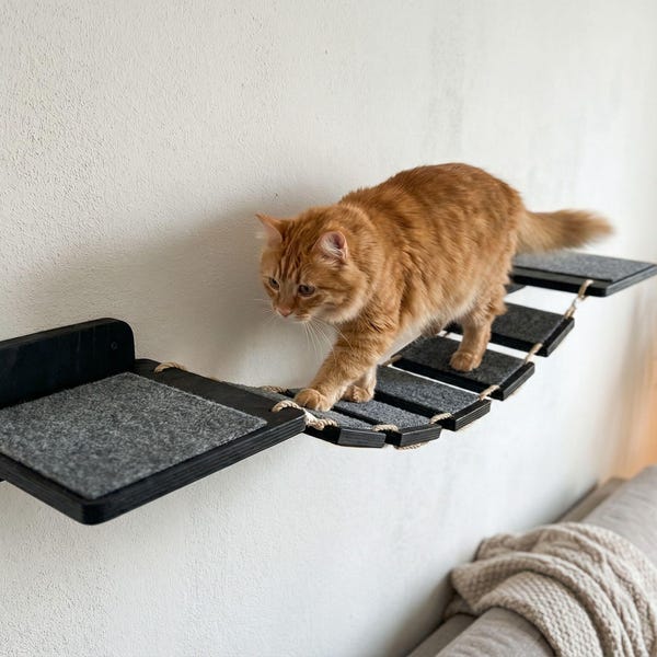 Katzenbrücke aus Holz: Schwimmende Wandleiter, Katzenregal