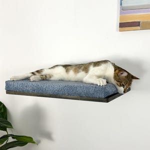 Soft cat bed on a comfortable shelf. Cat shelves on the wall are comfort and coziness for your pet. Cat bed on the wall.