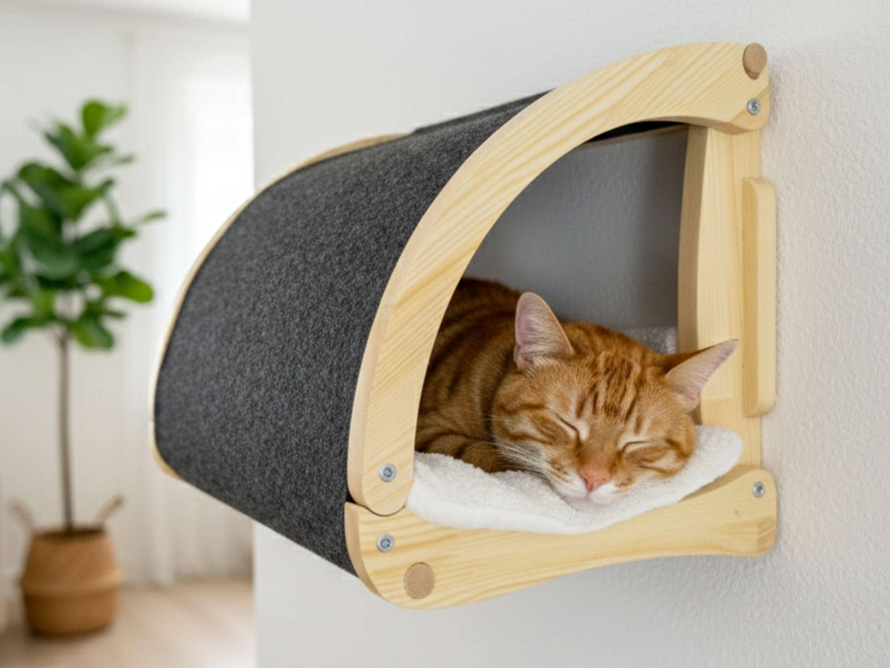 Wall Cat Cave Bed With Curtain - Cozy Wooden Hideaway