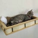 see more listings in the Cat shelves and sets section