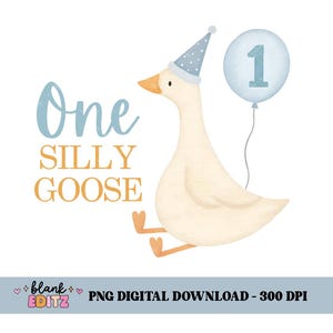 One Silly Goose PNG, sublimatieontwerp, afbeelding verjaardagskaart, instant digitale download DTF, eerste verjaardag, kinderkleding, kinderkleding png