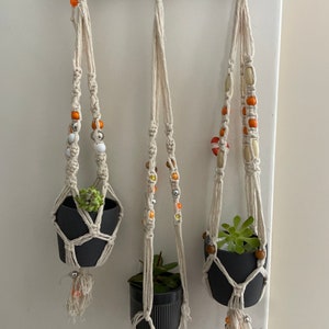 May include: Three macrame plant hangers with black pots and small plants. The hangers are made with natural cotton cord and feature colourful beads.