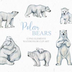 White Polar Bears Watercolor Illustrations Clip Art. Arctic Babies Bears DIY Posters, Baby Shower, Winter Snow Bears