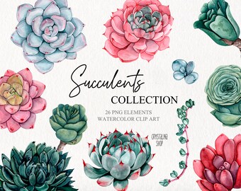 Watercolor succulents flower clipart. Wedding design Succulent digital succulent download succulent png. Boho succulent wedding.