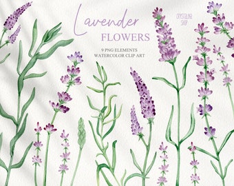 Watercolor lavender flowers clipart Provence rustic wedding set of illustrations clipart Floral decor for invitations