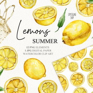 Aquarell Zitronen Clipart Sommer Früchte ClipartLemon Küche Dekor String Tasche Eco freundliche Zitrus Hochzeit DIY Zitrone Scrapbook Digitalpapier