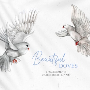 Romantic Doves Birds clip art for wedding invitation, logo, scrapbooking. Hand painted Digital clipart PNG.