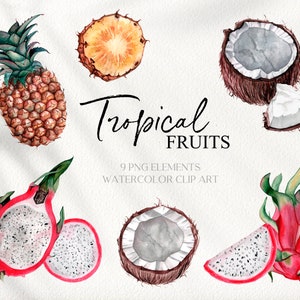 Acuarela Tropical Fruit Clipart. Piña fresca de verano, coco, fruta del dragón frutas tropicales clip art digital