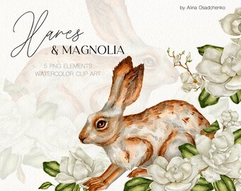 Watercolor Easter hares with magnolia flowers clipart. Watercolor vintage rabbit clipart. Vintage hare png. Cute animal clipart. Easter PNG