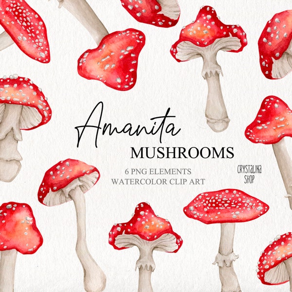 Watercolor vintage amanita mushrooms clipart Fall forest harvest Watercolor autumn clipart Fly agaric clipart Halloween mushroom clipart
