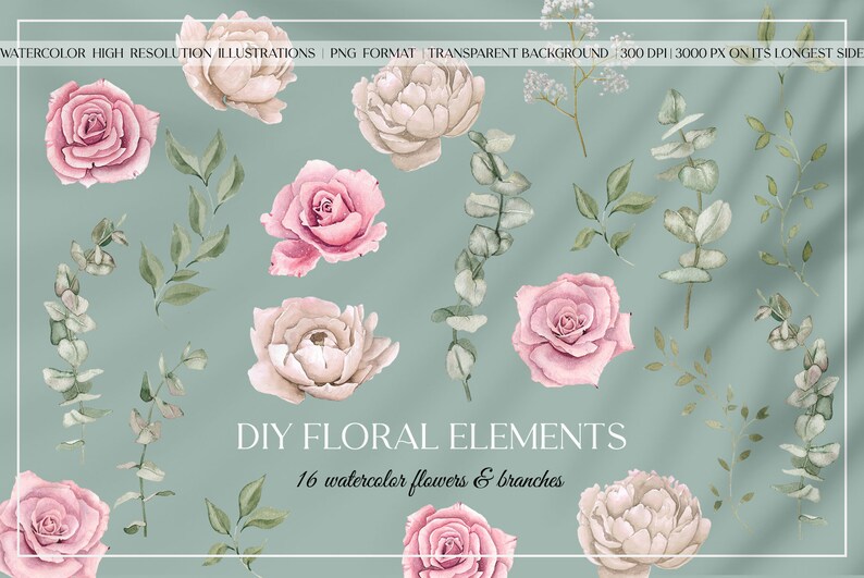 Op de afbeelding: Een set van 16 aquarelbloemelementen, waaronder roze rozen, witte pioenen en eucalyptus takken. DIY FLORAL ELEMENTS 16 aquarel bloemen & takken