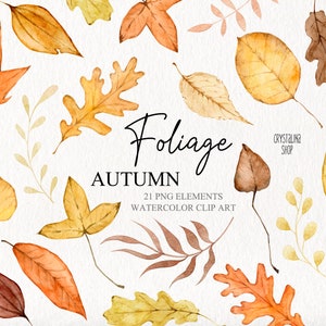 Aquarel herfst bladeren clipart Aquarel vallen bladeren decoratie DIY elementen voor scrapbooking stickers Thanksgiving Fall Leaves