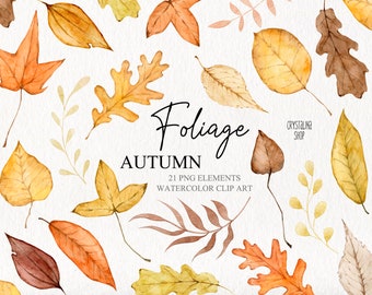 Watercolor autumn foliage clipart Watercolor fall leaves decoration DIY elements for scrapbooking stickers Thanksgiving Fall Leaves