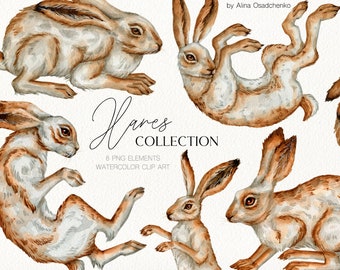 Watercolor Easter hares clipart. Watercolor vintage rabbit clipart. Vintage hare illustration png. Cute animal clipart. Easter PNG