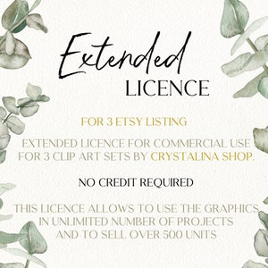 Extended Commercial Licence for 3 Products from CrystalinaShop