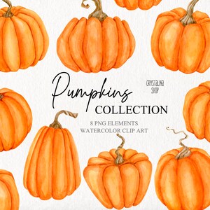Watercolor autumn orange pumpkins clipart Fall clipart Halloween pumpkins clipart Boho DIY Scrapbooking supplies Halloween decorative gourds