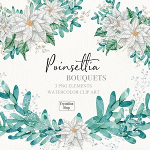 Composições de buquê de flores de poinsétia em aquarela clipart Holly Natal arranjos de poinsétia branca design de cartão de felicitações DIY