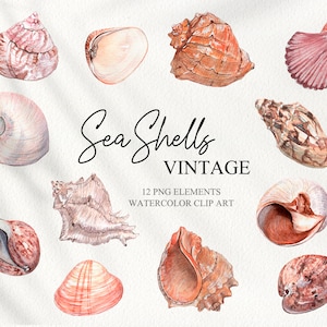 May include: Twelve watercolor illustrations of various seashells in shades of pink, brown, and white. The illustrations are arranged in a grid pattern on a white background. The text "Sea Shells Vintage" and "12 PNG Elements Watercolor Clip Art" is included in the image.