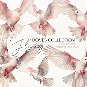 Romantische zachte roze vliegende duiven vogels illustraties voor bruiloft uitnodiging, Valentijnsdag, logo, scrapbooking. Digitale aquarel clipart PNG.