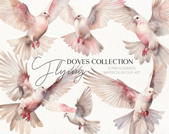 Romantic gentle pink flying doves birds clip art for wedding invitation, Valentines day, logo, scrapbooking. Digital watercolor clipart PNG.