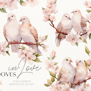 Coppia di colombe romantiche innamorate di clip art di uccelli e fiori di ciliegio rosa per inviti di nozze, San Valentino. PNG clipart acquerello digitale.