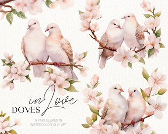 Romantic doves couple in love birds clip art & pink cherry blossom for wedding invitation, Valentines day. Digital watercolor clipart PNG.