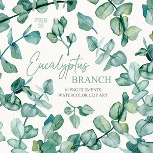 Watercolor eucalyptus branches and leaves clipart Watercolor tropical floral clipart Greenery foliage illustrations Modern wedding clipart